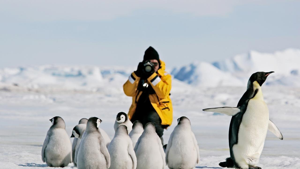 南極半島行程 2025-2028