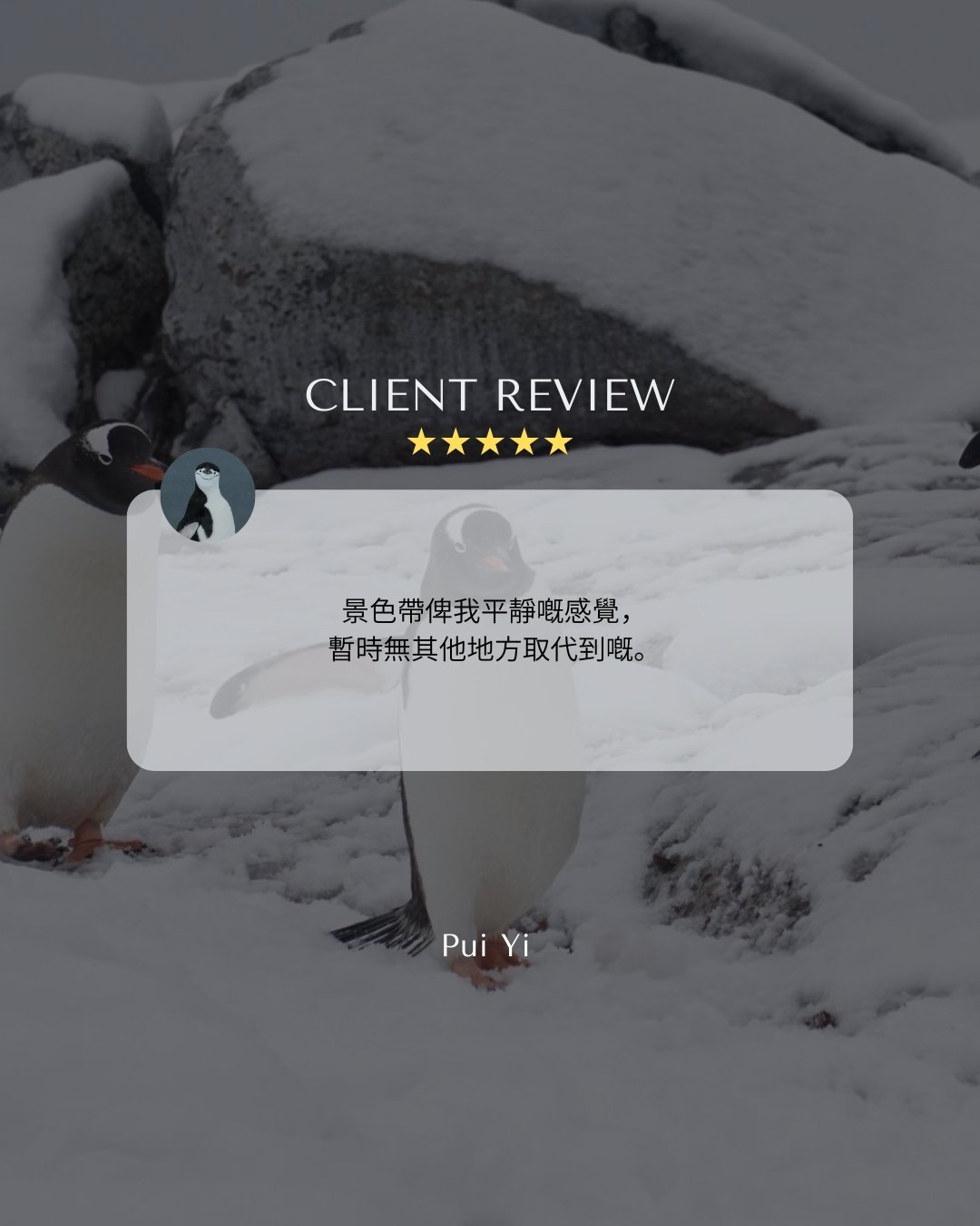 南极旅行,南极旅游,南极船票,南极邮轮,南极团,南极旅游公司