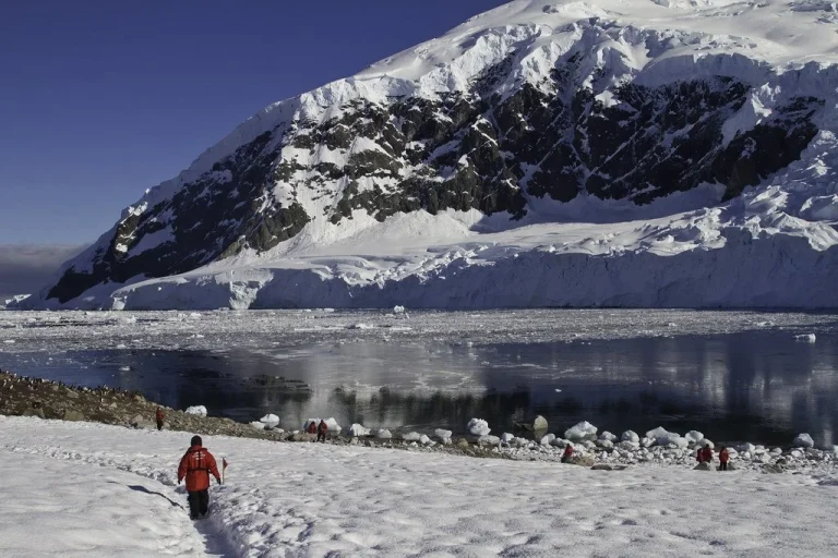 antarcticpeninsulaspots-35