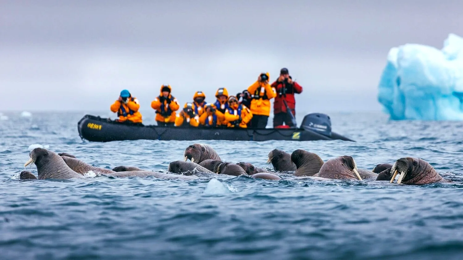 南極半島行程 2025-2028