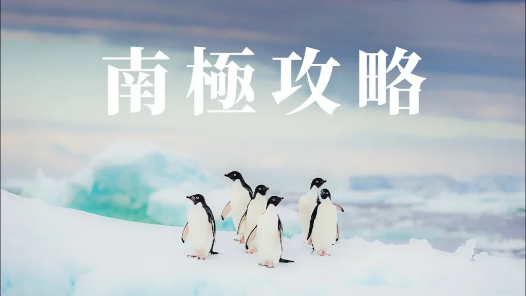 南极旅行,南极旅游,南极船票,南极邮轮,南极团,南极旅游公司