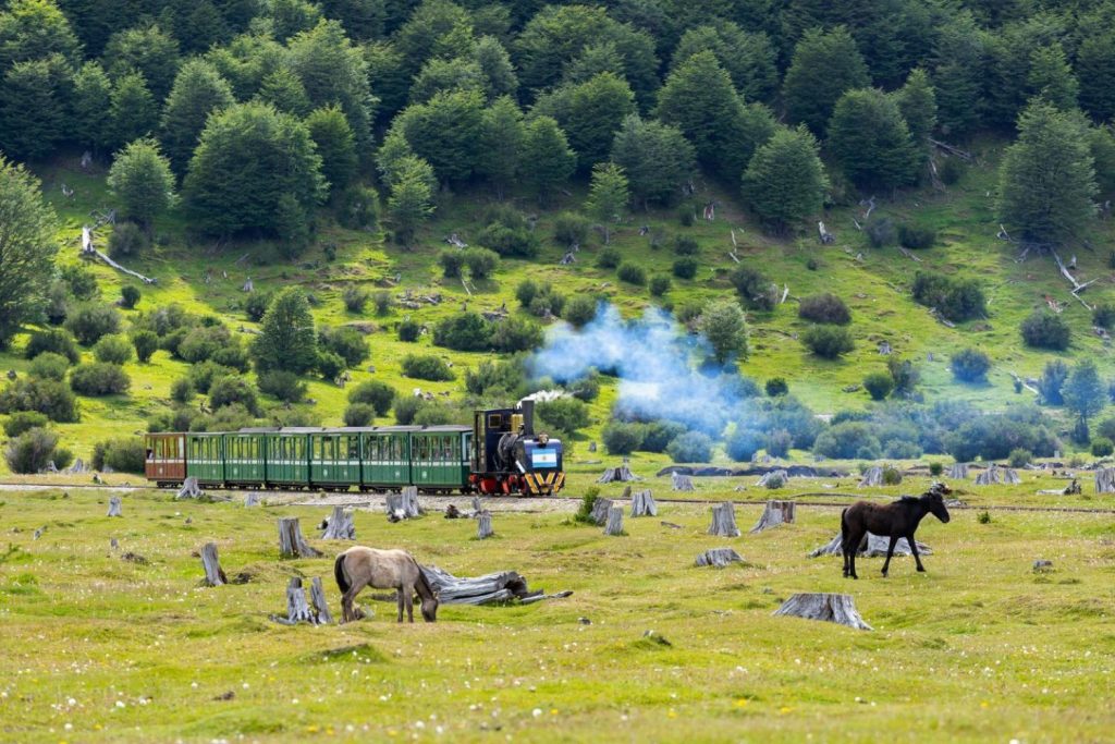 ushtrain8