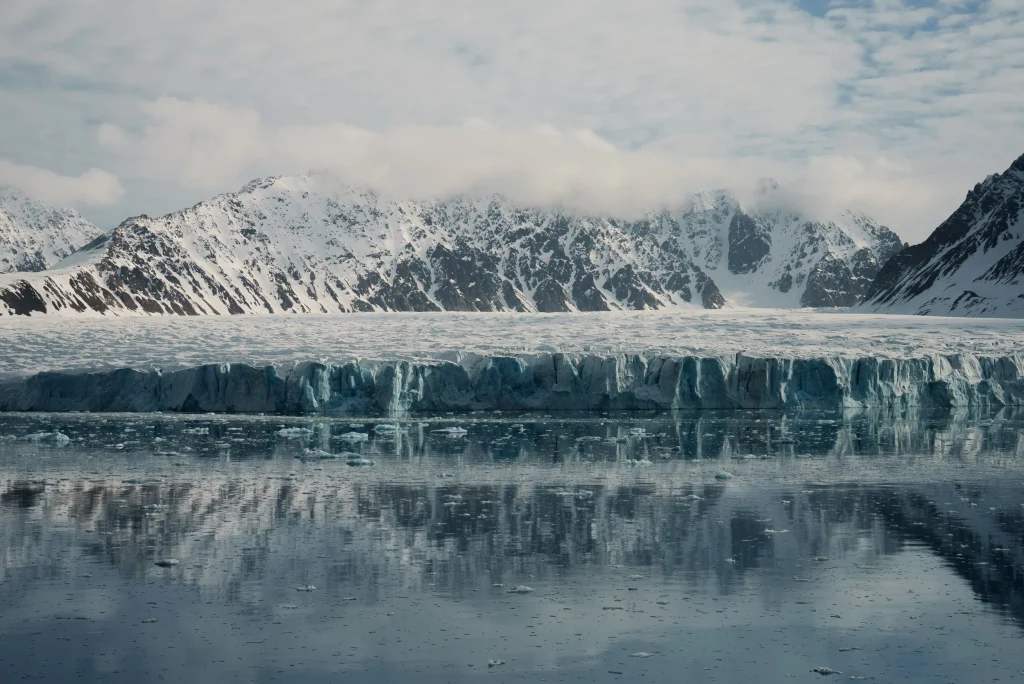 Lillihookbreen