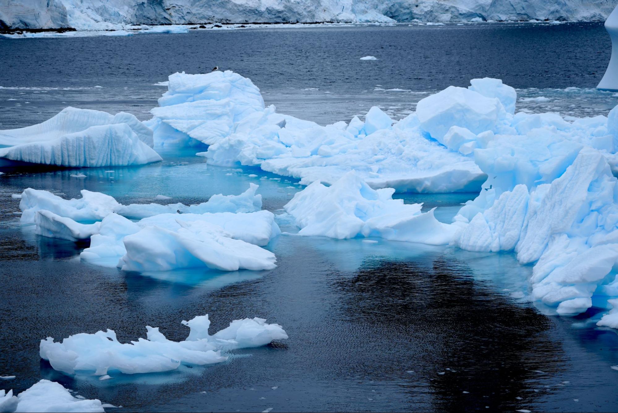 polar latitudes antarctica peninsula drifting blue icebergs harry tsui 23 24