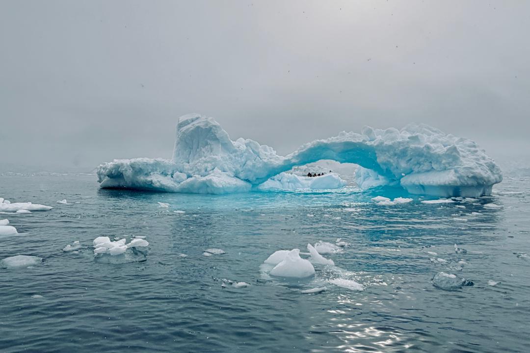 quark antarctica peninsula iceberg arch vivien nyon 2026