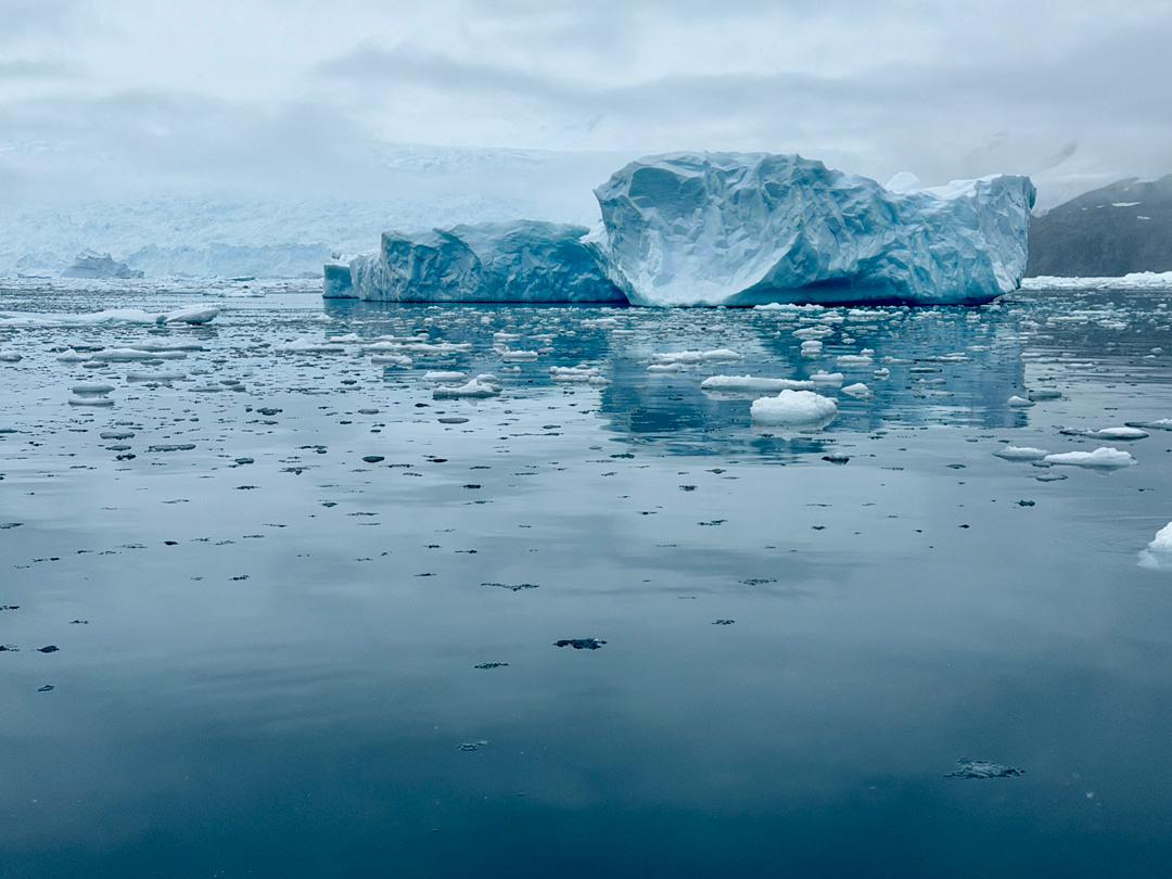 quark antarctica peninsula icebergs vivien nyon 2026