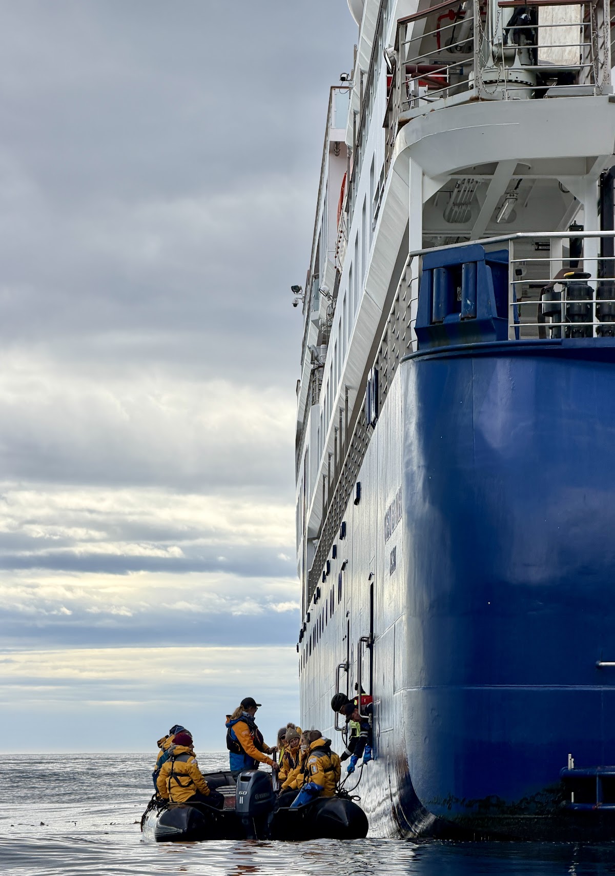 quark antarctica peninsula zodiac by ship vivien nyon 2026