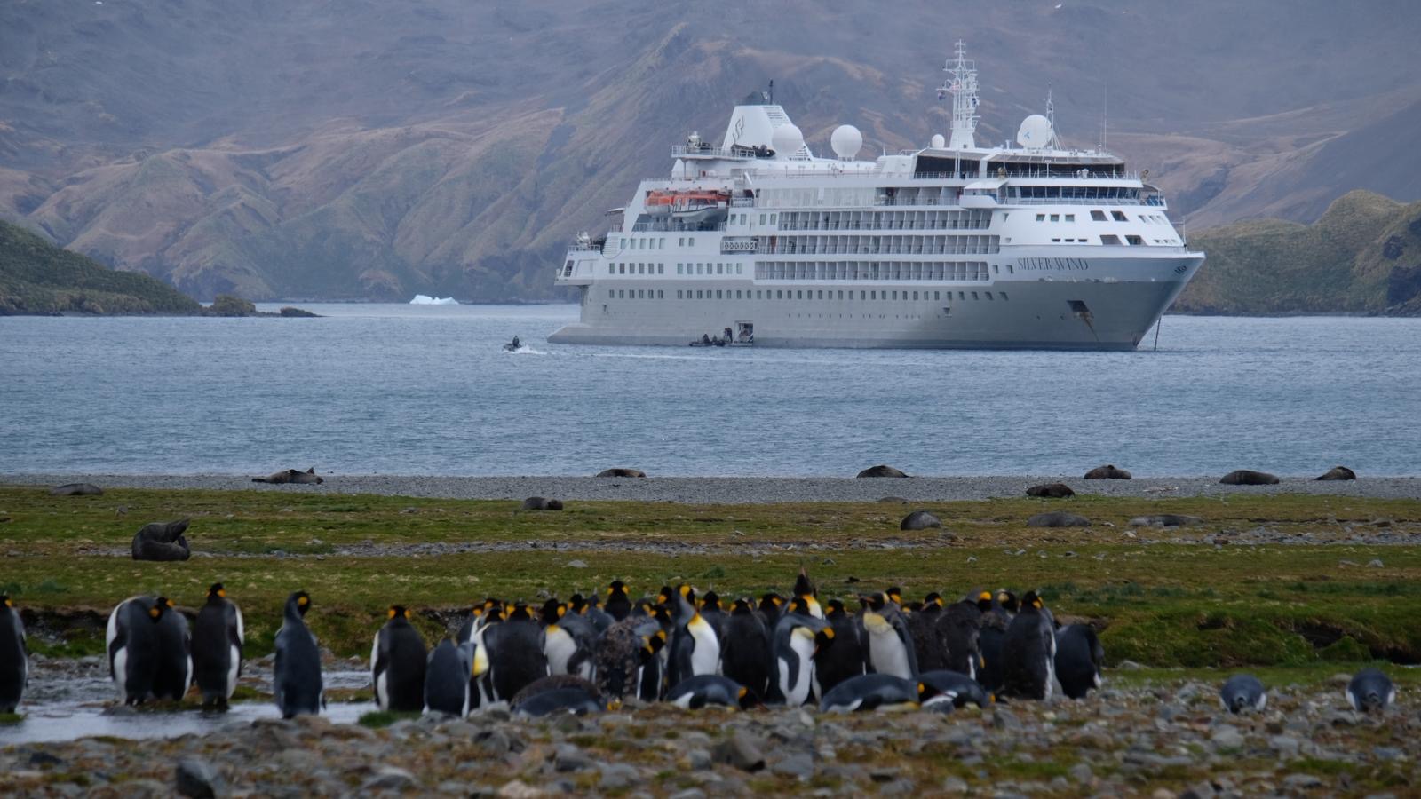 The Silversea expedition ship in a bay with penguins lining the shore