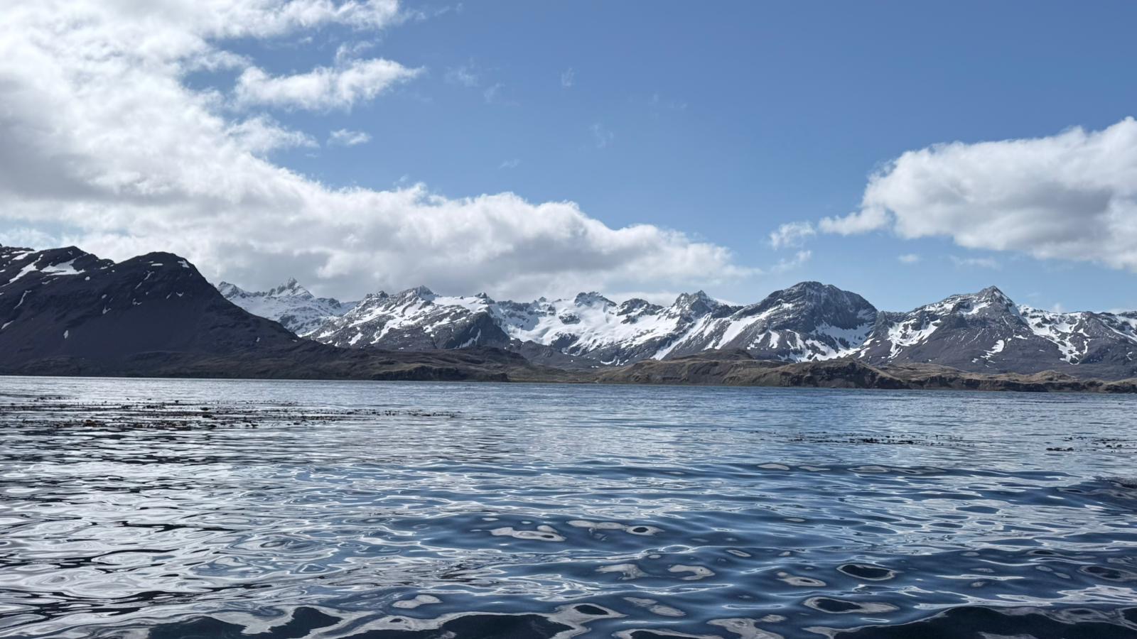 Snow-capped mountains and a glassy fjord seen from a Silversea Antarctica cruise