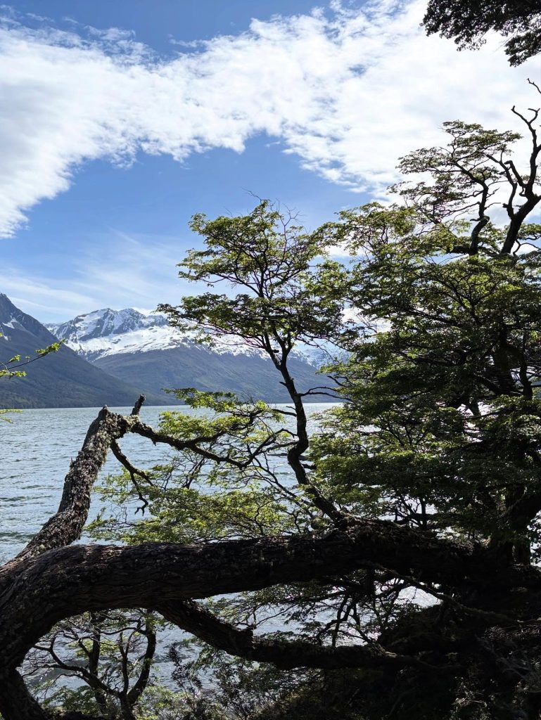 ushuaia beagle channel coast crystal lam 24 25