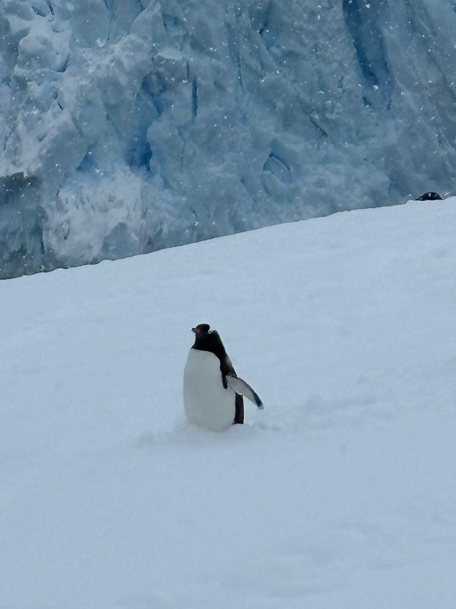 photo 2024 11 08 21 04 41
