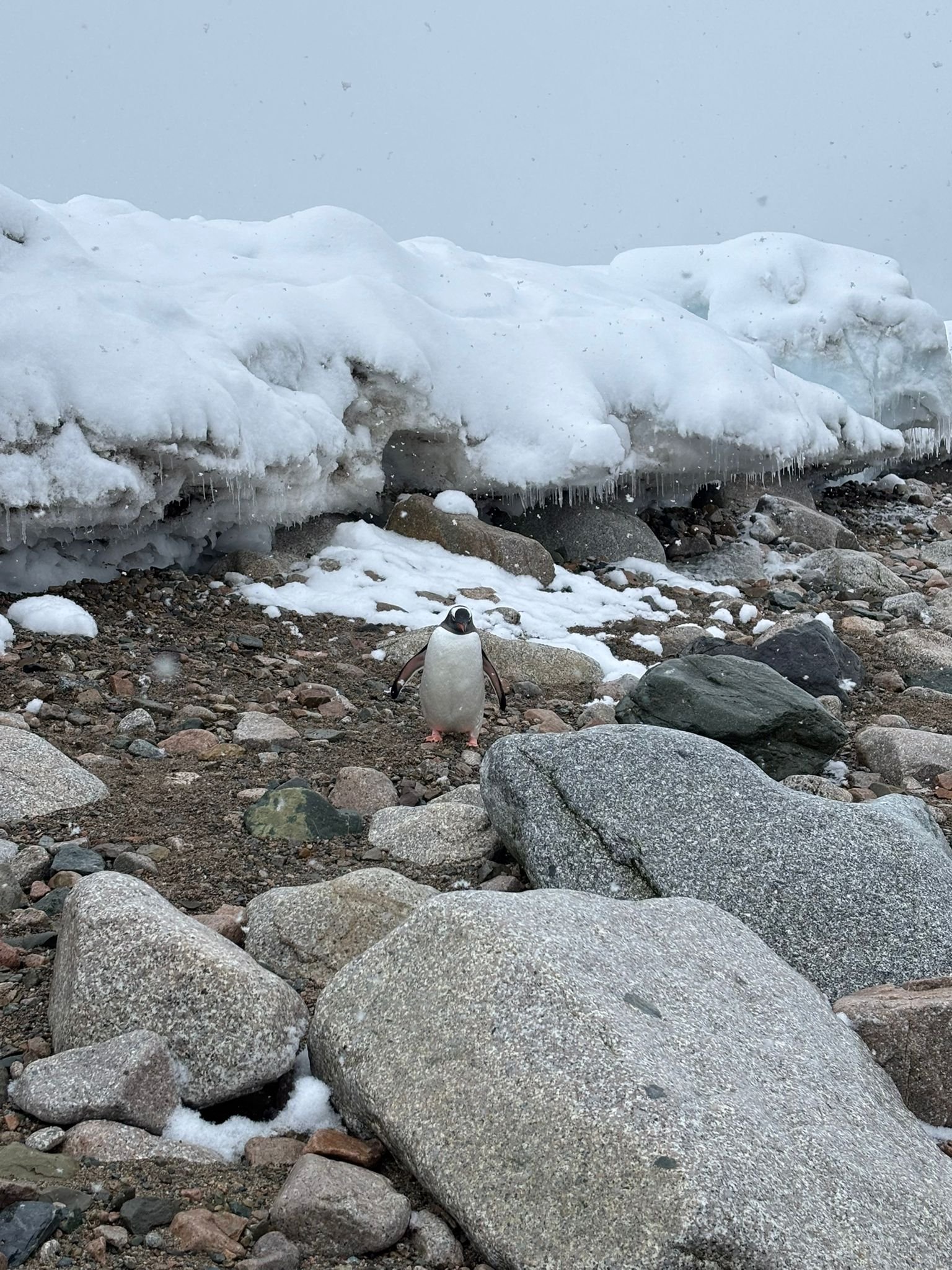 photo 2024 11 08 21 22 57