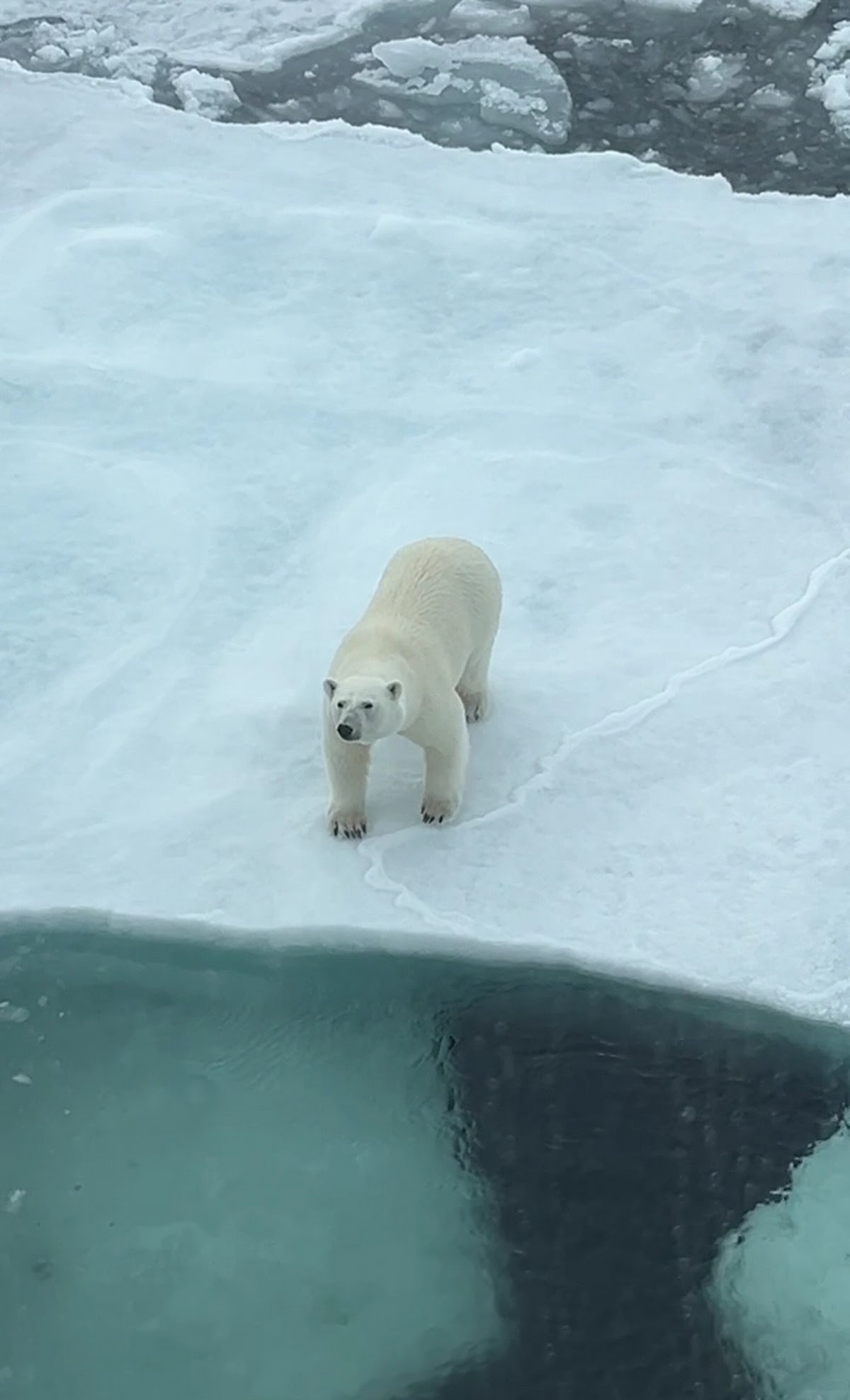 unnamed (3)